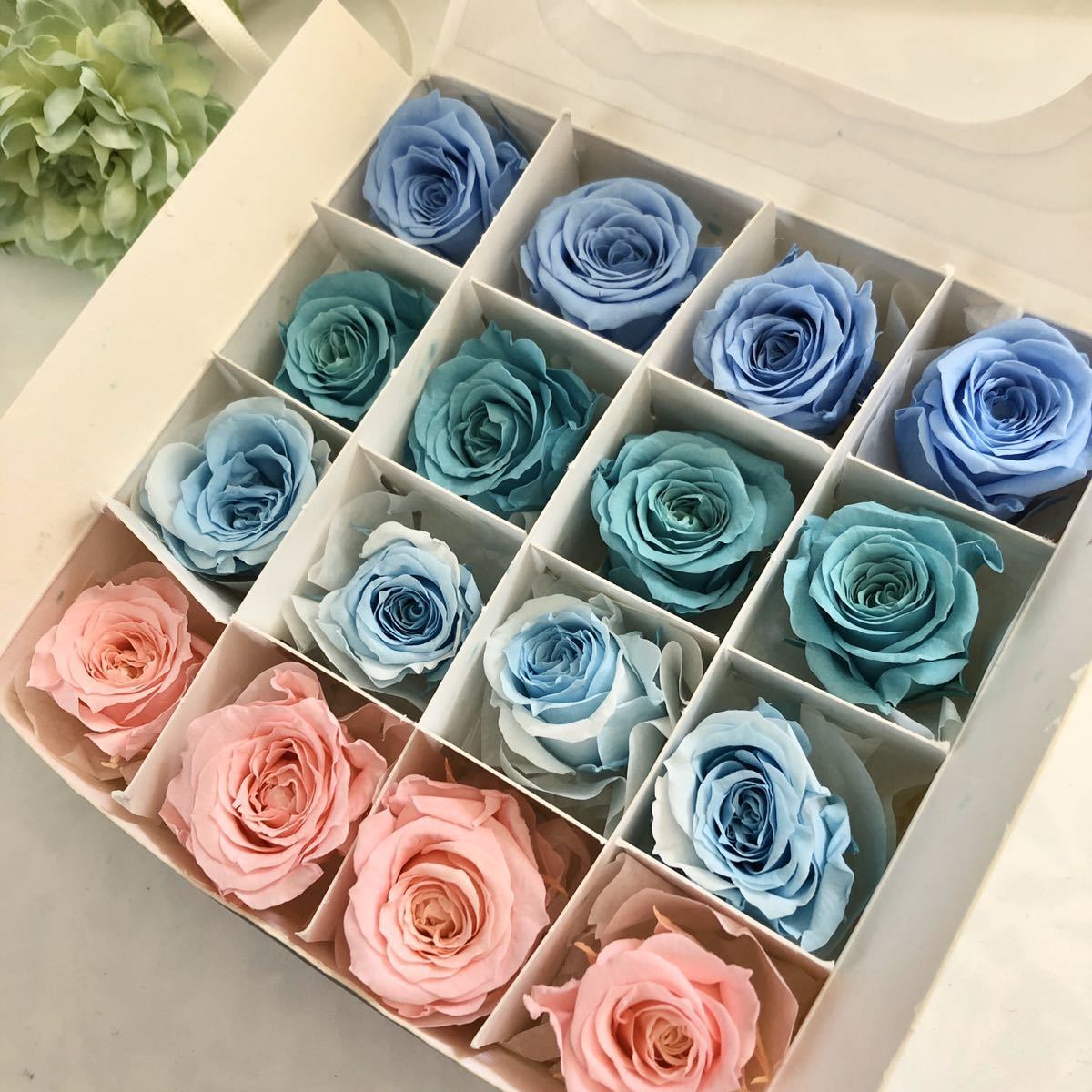 新品 ローズ 16輪 アソート ハーバリウム 花材 薔薇 バラ プリザーブドフラワー サシェ レジン リース の落札情報詳細 ヤフオク落札価格情報 オークフリー スマートフォン版 新品 ローズ 16輪 アソート ハーバリウム 花材 薔薇 バラ プリザーブドフラワー サシェ レジン リース の落札情報詳細 ヤフオク落札価格情報 オークフリー スマートフォン版