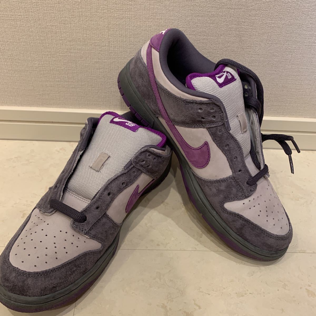 purple pigeon sb