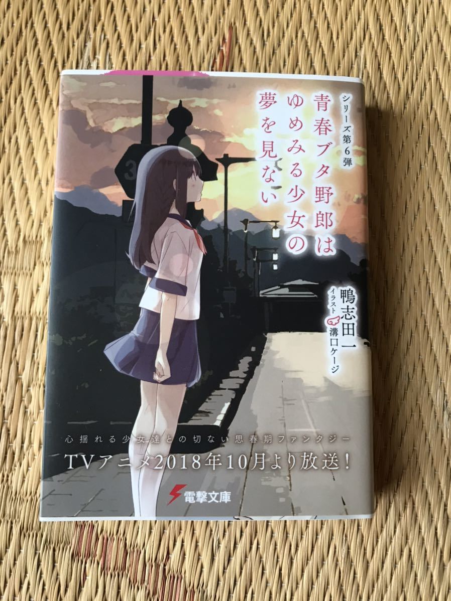 鴨志田一 青春ブタ野郎はゆめみる少女の夢を見ない 電撃文庫 の落札情報詳細 ヤフオク落札価格情報 オークフリー スマートフォン版