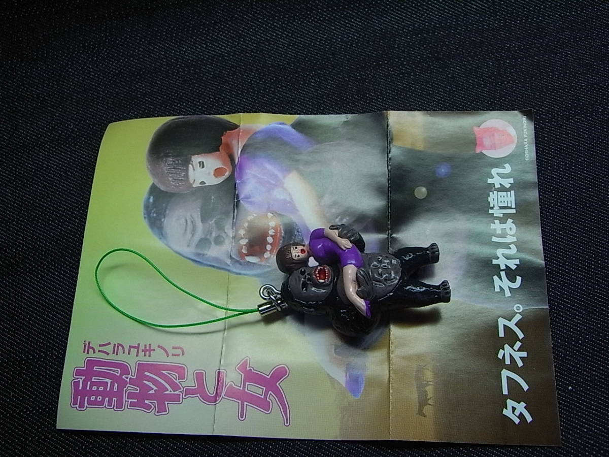 デハラユキノリ トサ犬 サトシヤマモト 石田豊乳