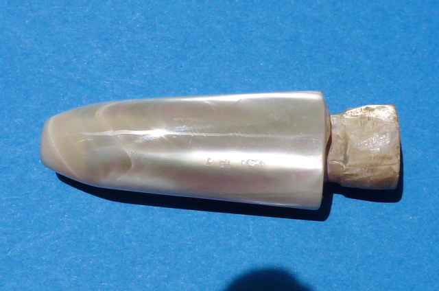 夜光貝 トローリングヘッド 無垢 1個 Yahoo!オークション - 夜光貝