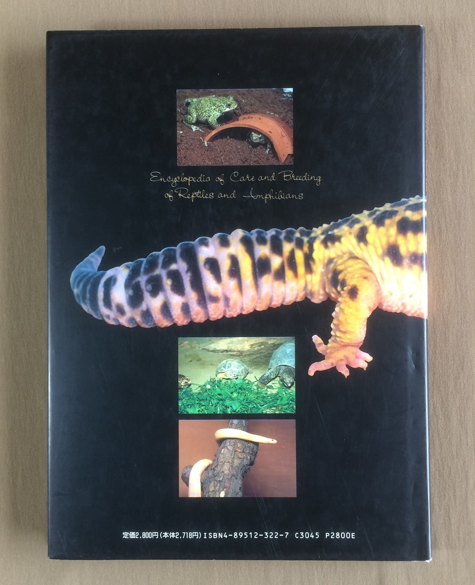 爬虫両生類飼育図鑑 カメ トカゲ イモリ カエルの飼い方 千石正一 マリン企画 ヘビ ワニ 有尾類 爬虫類 ビバリウム ケージ の落札情報詳細 ヤフオク落札価格情報 オークフリー スマートフォン版