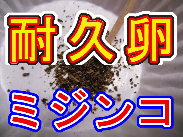 ダフニアミジンコ 耐久卵８８０円 動画有 発酵鶏糞 送料１８０円 Youtube ユーチューブ動画あり面白い エサ 強力わかもと の落札情報詳細 ヤフオク落札価格情報 オークフリー スマートフォン版