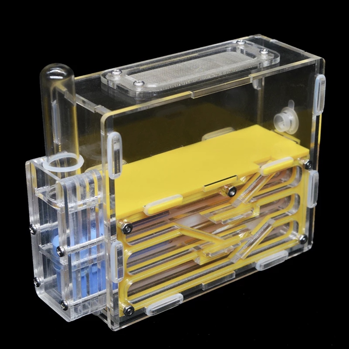 新品 送料無料 国内発送 アリの巣 アクリル巣 アクリルケース 飼育ケース アントファーム 女王蟻 女王アリ 蟻の巣 の落札情報詳細 ヤフオク落札価格情報 オークフリー スマートフォン版