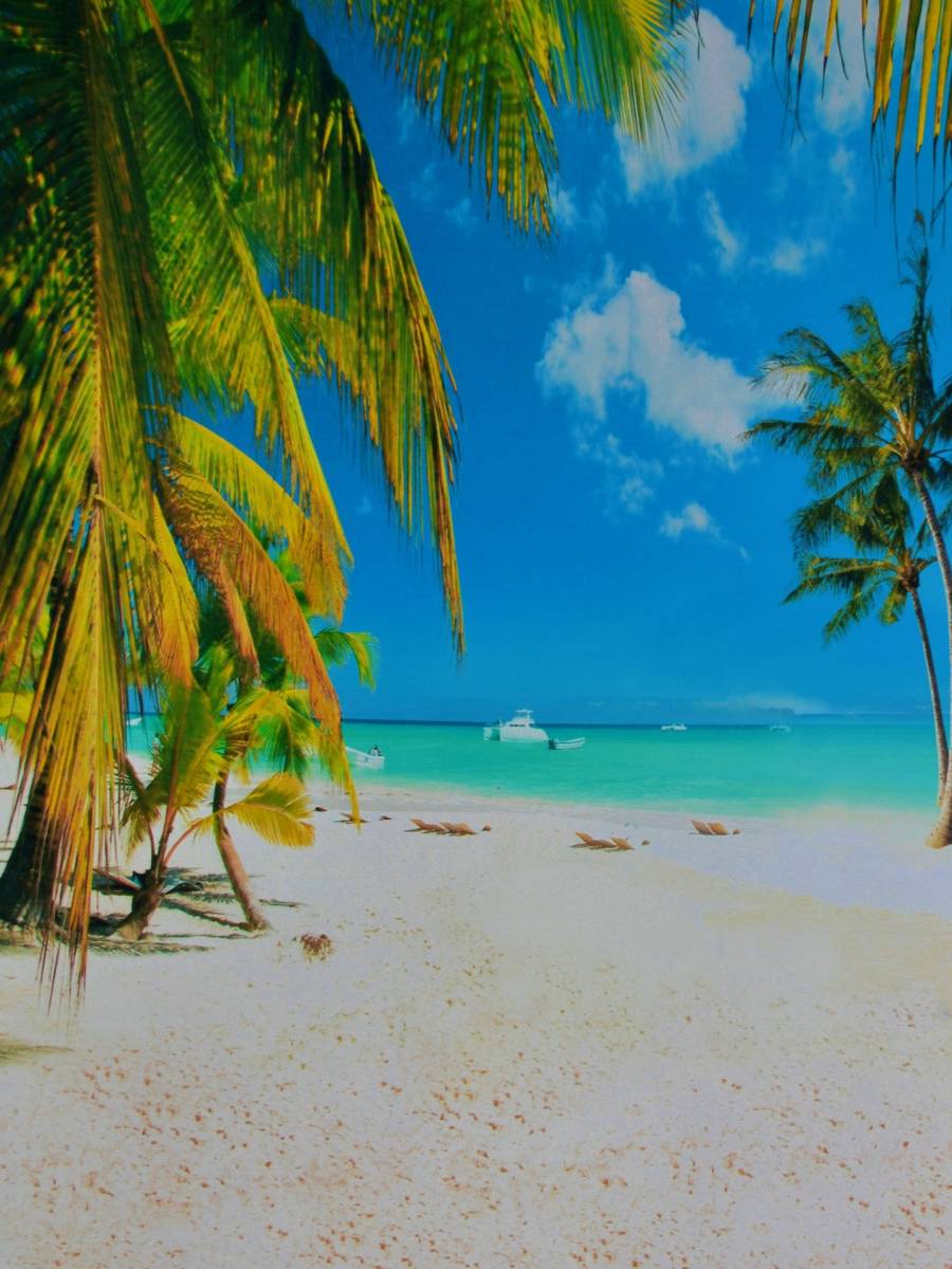 新品 新品即決 ドール撮影用背景布厚手布 南の島の青空ビーチ 1 6ドール ブライス りかちゃん 小物撮影にも 折り目なし 安心のロール発送 の落札情報詳細 ヤフオク落札価格情報 オークフリー スマートフォン版