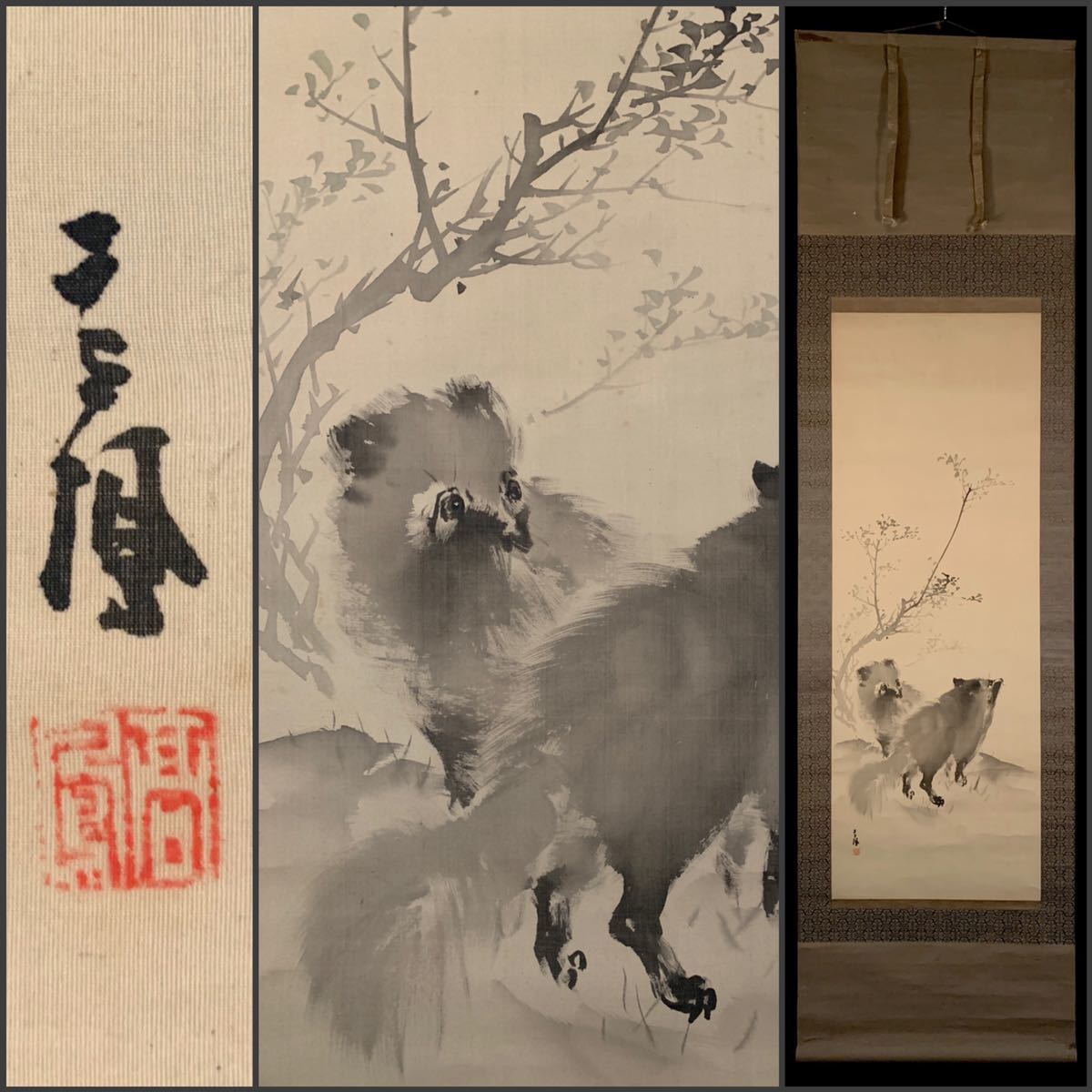 望月金鳳 狸の図 タヌキ たぬき 掛け軸 合わせ箱 書画、骨董品、美術品 望月金鳳 狸の図 タヌキ たぬき 掛け軸 合わせ箱 書画、骨董品