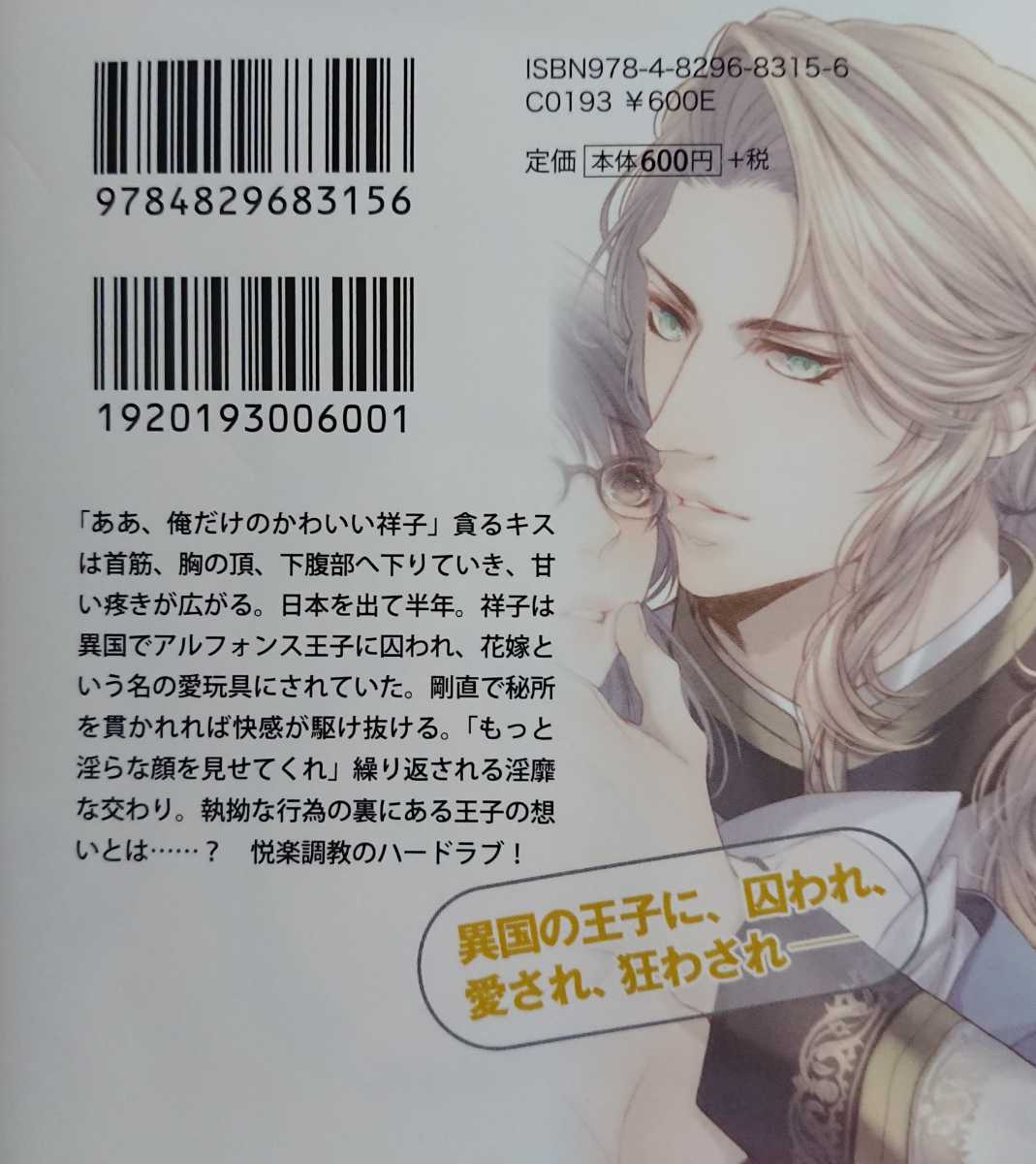 監禁愛 王子の甘い罠に堕ちて 水戸泉 壱也 ブラックオパール文庫 蜜猫ガブチュビーズオパエタニティアベリ角川ジュヴァニレジ の落札情報詳細 ヤフオク落札価格情報 オークフリー スマートフォン版