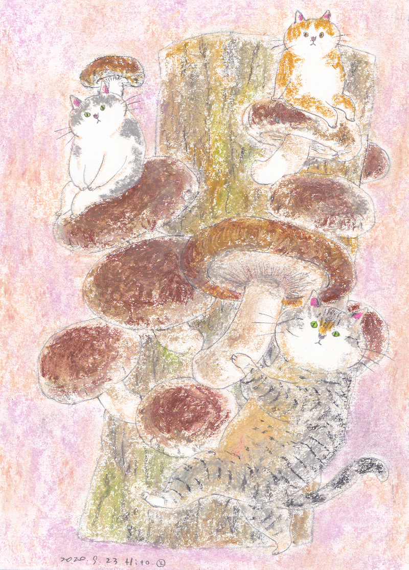 新品 直筆 手描き オリジナル猫イラスト 椎茸と猫 ネコ 猫イラスト 猫の絵 しいたけ 原画 きのこ クレヨン画 原画 B5サイズ の落札情報詳細 ヤフオク落札価格情報 オークフリー スマートフォン版