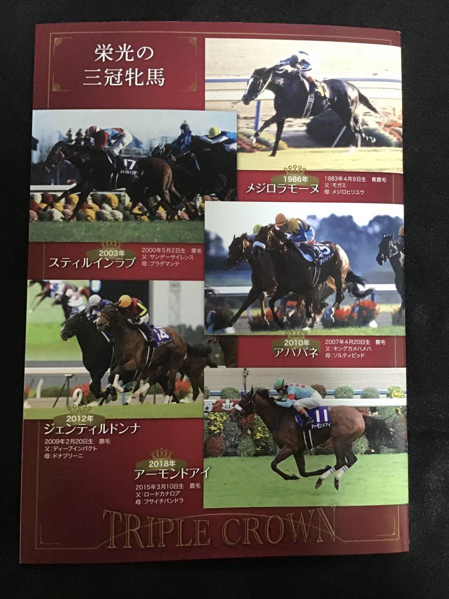 デアリングタクト 三冠記念 クリアファイル 京都競馬場 匿名配送 桜花賞 オークス 秋華賞 ウマ娘 非常に高い品質