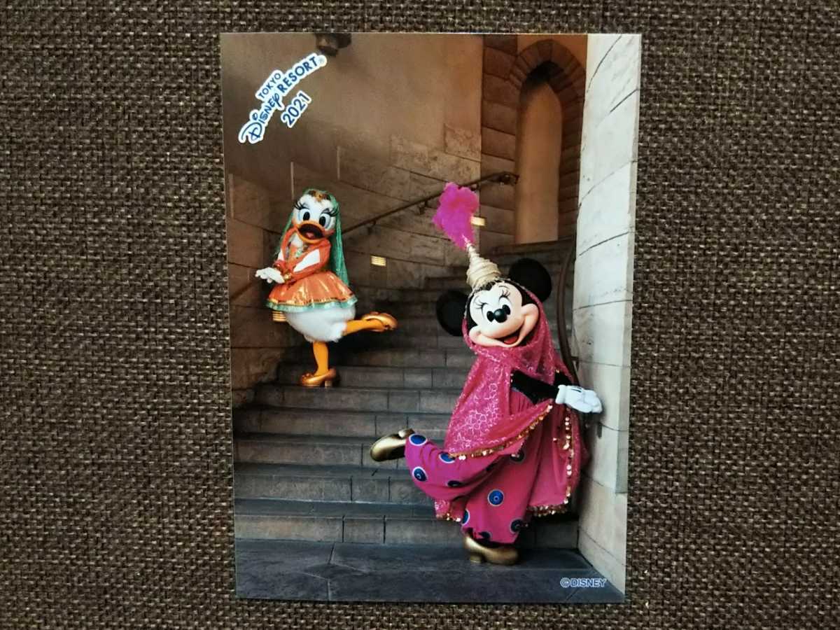 新品 Tdr Tds ディズニーシー ディズニー スペシャルフォト スペフォ 最新 21 2月 写真 デイジー ミニー アラビアンコースト の落札情報詳細 ヤフオク落札価格情報 オークフリー スマートフォン版