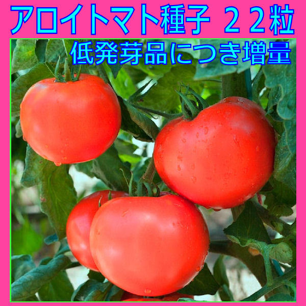 新品 アロイトマトのタネ 無肥料栽培種子 固定種 22粒 年採種 低発芽品 同梱可能 の落札情報詳細 ヤフオク落札価格情報 オークフリー スマートフォン版