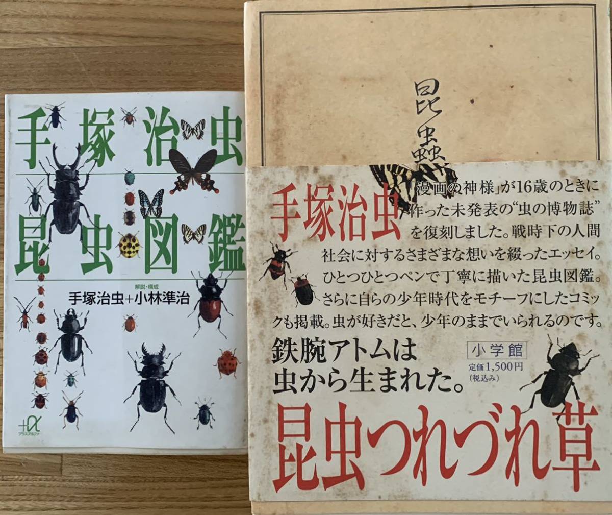 手塚治虫 昆虫つれづれ草 昆虫図鑑 2冊 の落札情報詳細 ヤフオク落札価格情報 オークフリー スマートフォン版