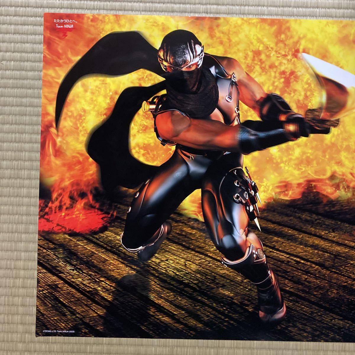 NINJA GAIDEN BLACK ポスター 非売品 B2ポスター TECMO XBOX ニンジャ