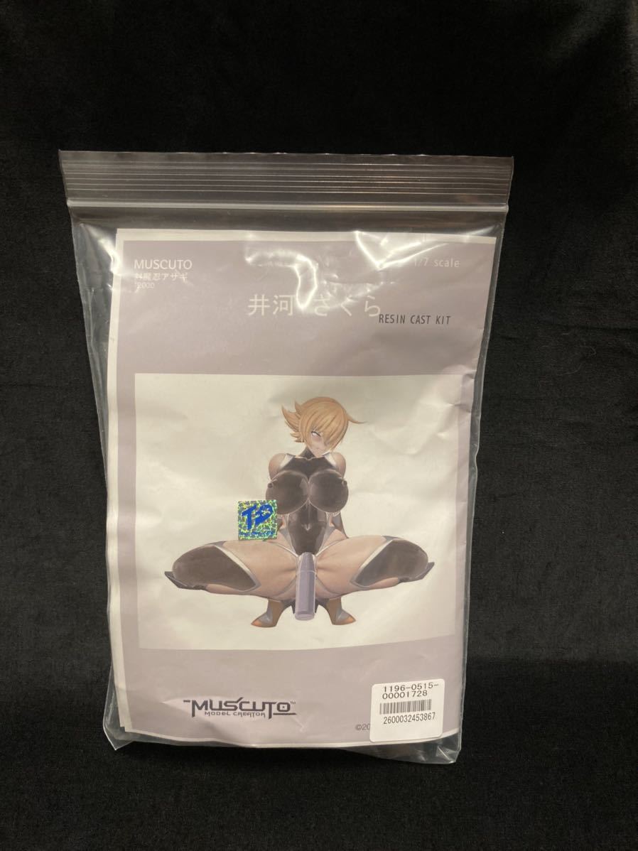 正規品　井河アサギ　softcream　トレフェス　TFO17　ガレージキット ガレキ制作：CharaGumin 対魔忍 井河アサギ