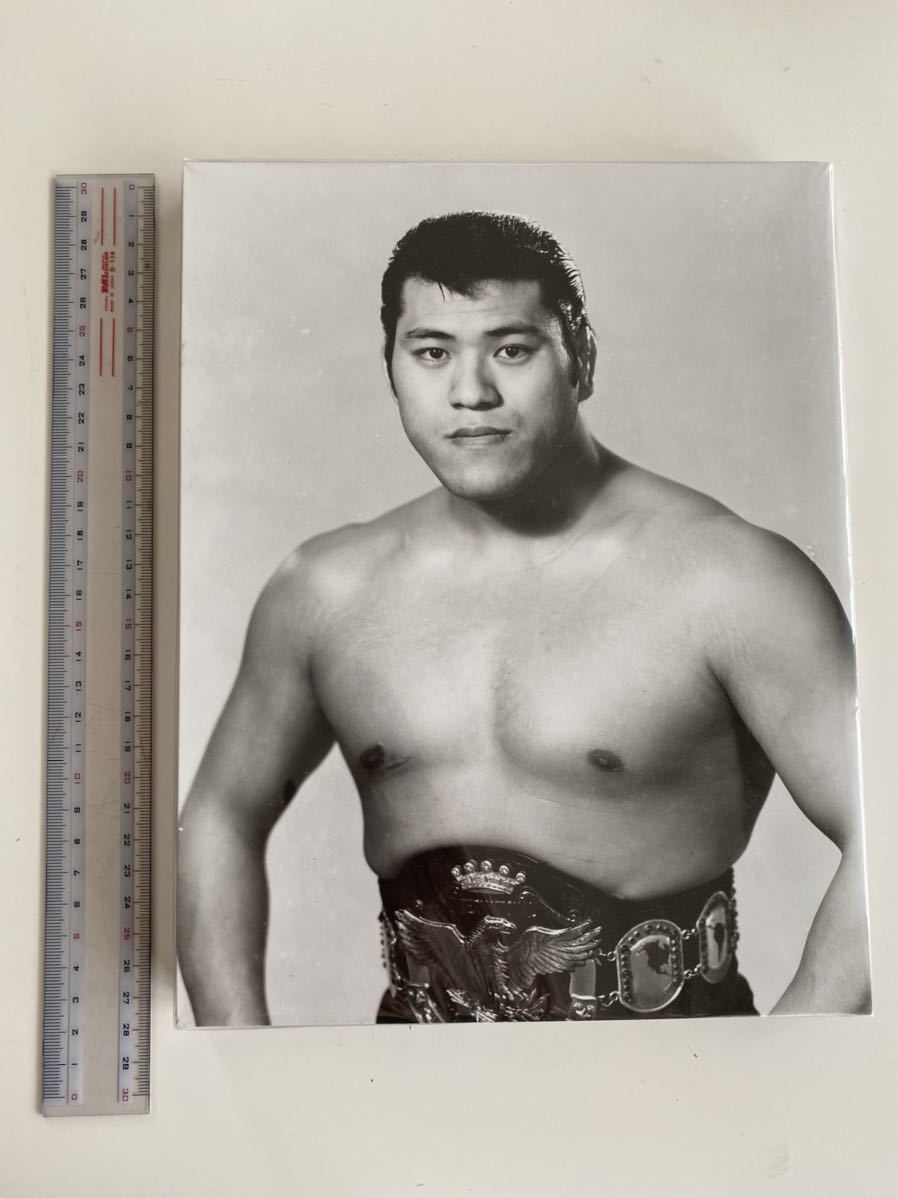 アントニオ猪木 木製パネル 若獅子時代 新日本プロレス IGF IWGP