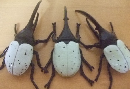 未使用 ヘラクレスリッキーブルー 昆虫 フィギュア ムシキング ヘラクレス 3点 ヘラクレスオオカブト カブトムシ 虫 自然 レア の落札情報詳細 ヤフオク落札価格情報 オークフリー スマートフォン版 未使用 ヘラクレスリッキーブルー 昆虫 フィギュア ムシキング ヘラクレス 3点 ヘラクレスオオカブト カブトムシ 虫 自然 レア の落札情報詳細 ヤフオク落札価格情報 オークフリー スマートフォン版