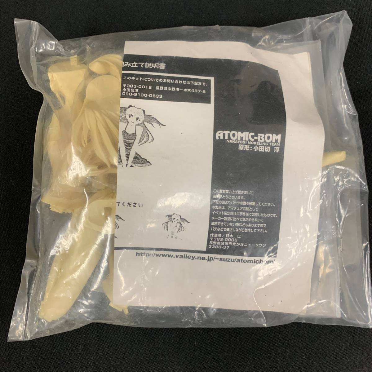 未使用】A25y24I 60 未使用 ATOMIC-BOM ガレージキット 惣流