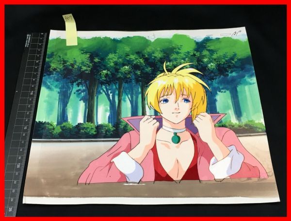 やや傷や汚れあり （詳細）】f817【アニメ セル画】【熱沙の覇王