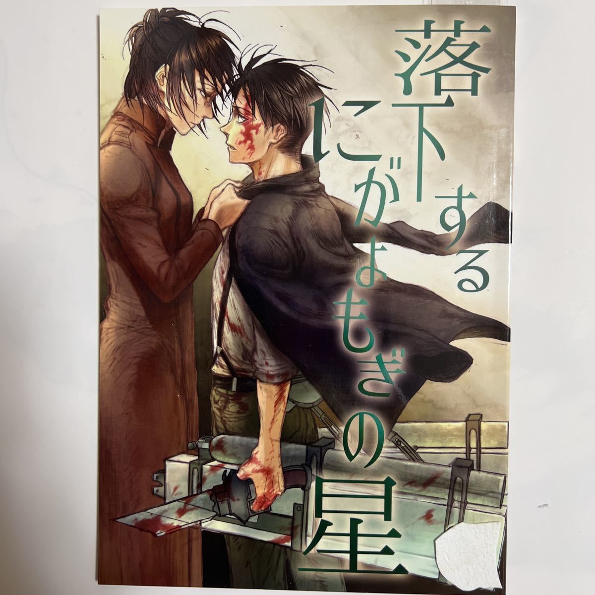 進撃の巨人 同人誌 リヴァイ ハンジ リヴァハン ヘザー