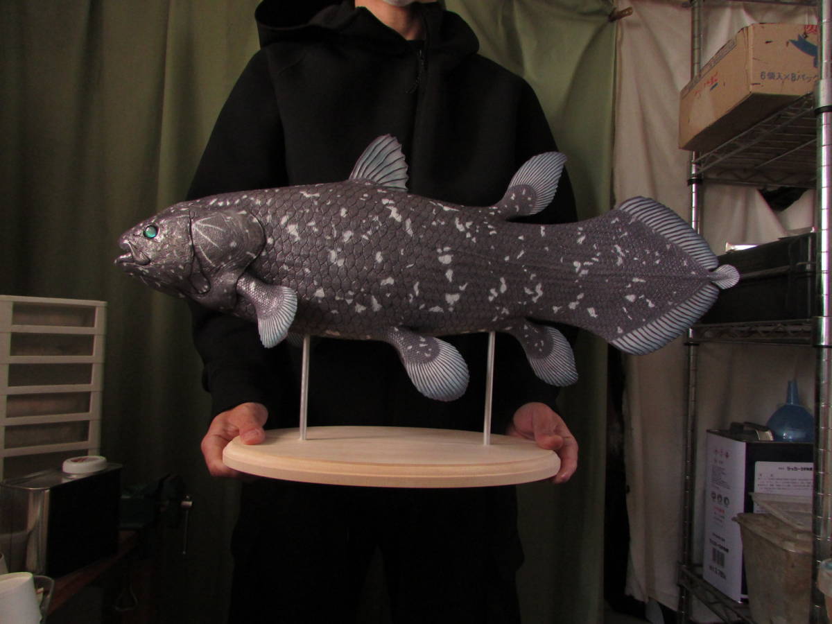 ○ハンドメイド 手作り 61cmシーラカンス 魚模型 フィギュア