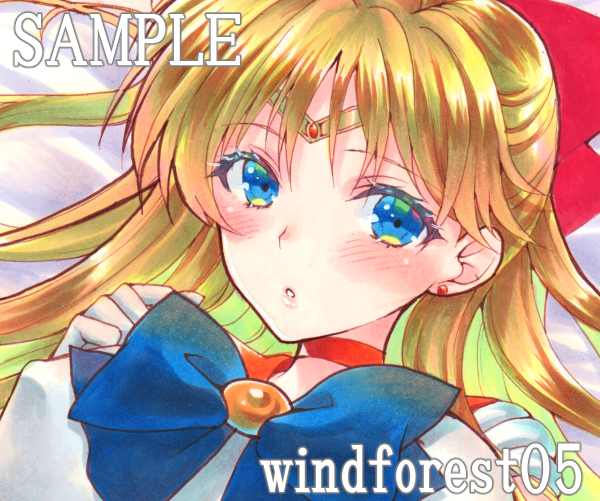 未使用セーラーヴィーナス 直筆 同人 手描きイラスト A4 ケント紙の