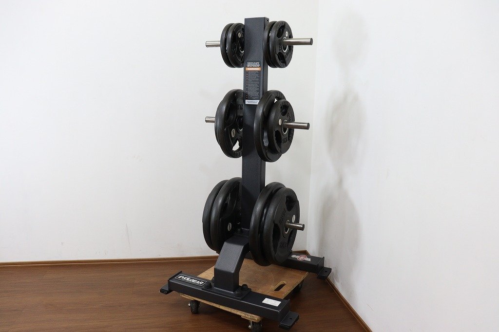 【やや傷や汚れあり】【埼玉エリア配送】S6830 EVOLGEAR プレートツリー・ラバープレートセット ラバーダンベル 現状品 オリンピック