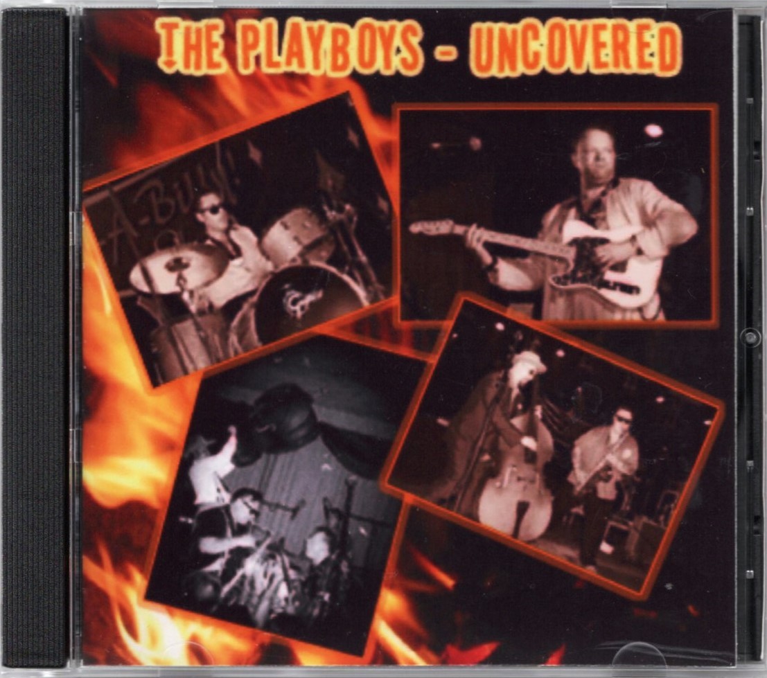 【やや傷や汚れあり】超貴重盤 / VA THE PLAYBOYS UNCOVERED (CDR) / 元ネタ カバー集 / 35 x