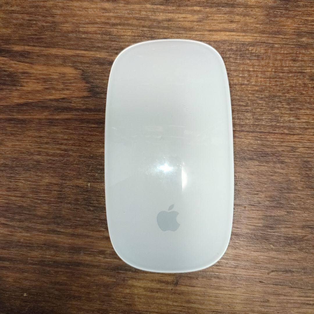 122036 ジェスチャー 500