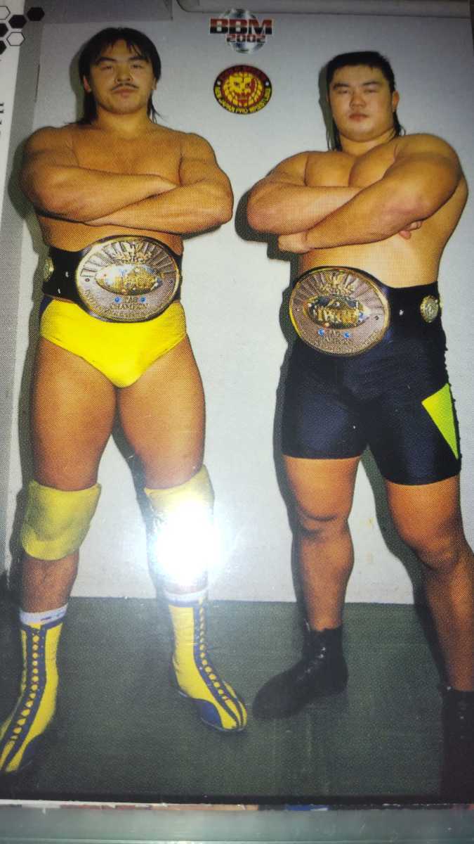 目立った傷や汚れなし】BBM 2002 新日本プロレス30周年記念カード IWGP