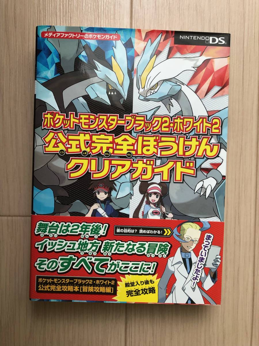 イッシュ地方ポスター【21cm×30cm】