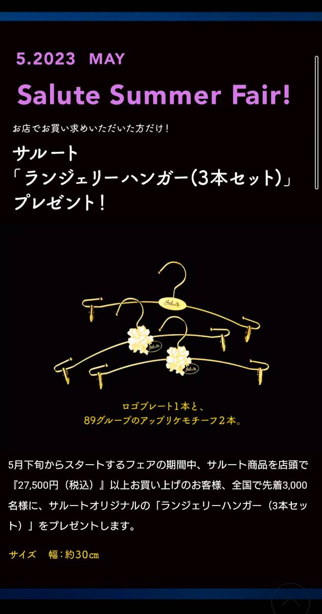 未使用】新品未開封 ランジェリーハンガー（3本セット） サルート
