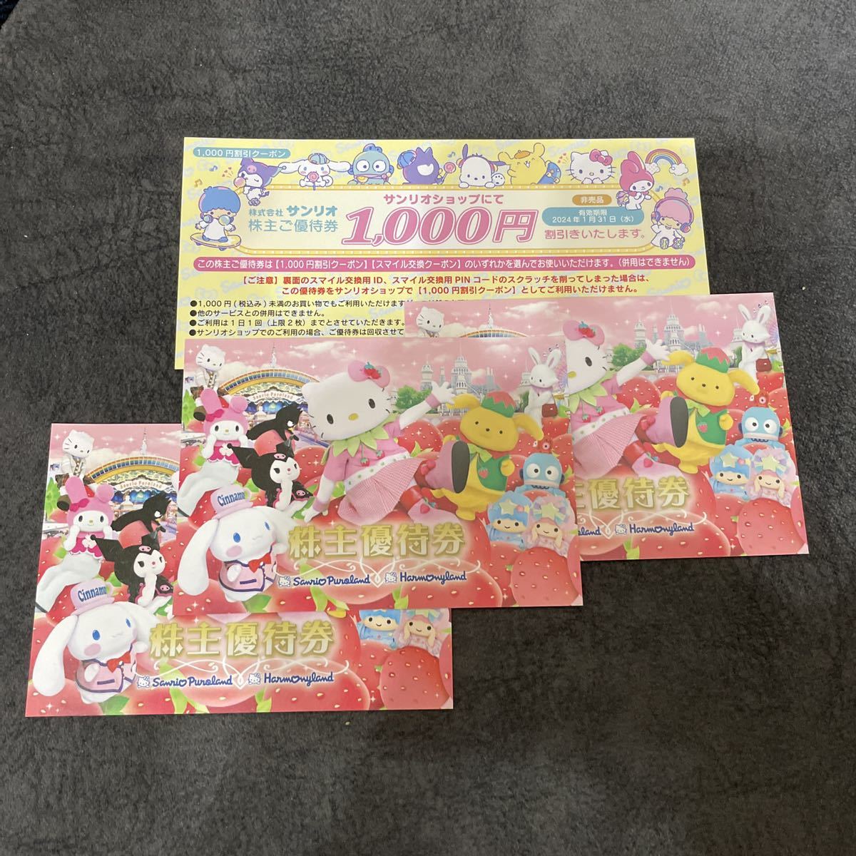ハーモニーランド株主優待券3名分入場フリーパス ハーモニーランド株主優待券3名分入場フリーパス