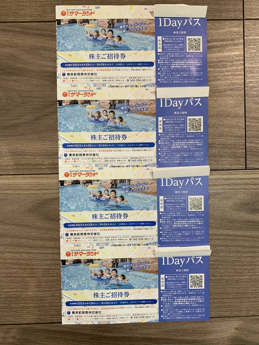 ◎6枚◎ 明日16日(金)到着！ 東京 サマーランド 割 1Dayパス 匿名発送 