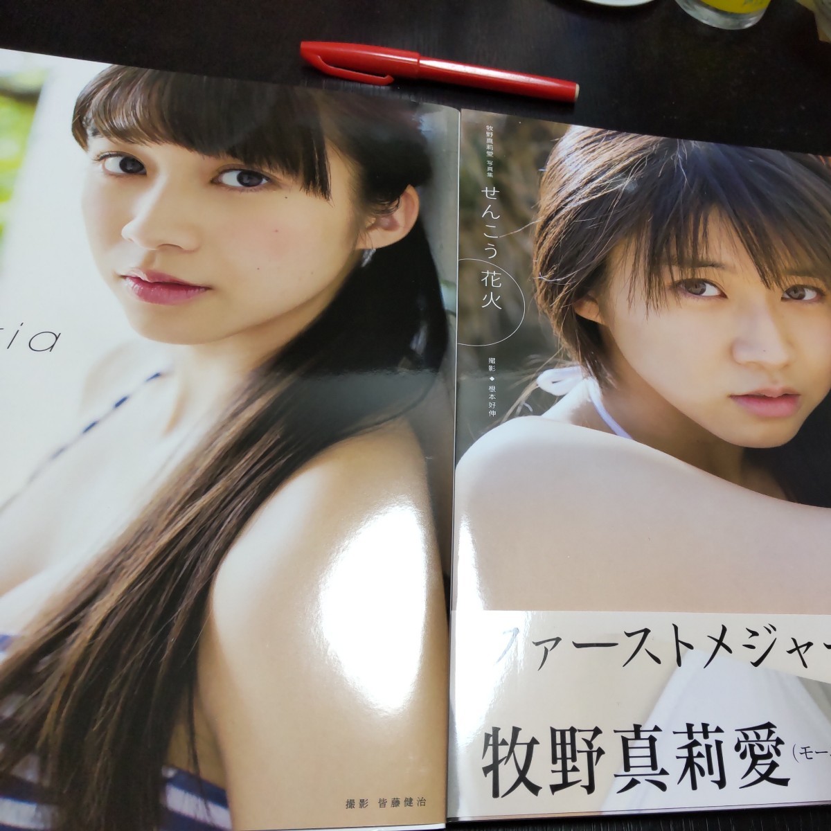 中古】「牧野真莉愛／Maria 全身タペストリー」等身大/水着/モーニング