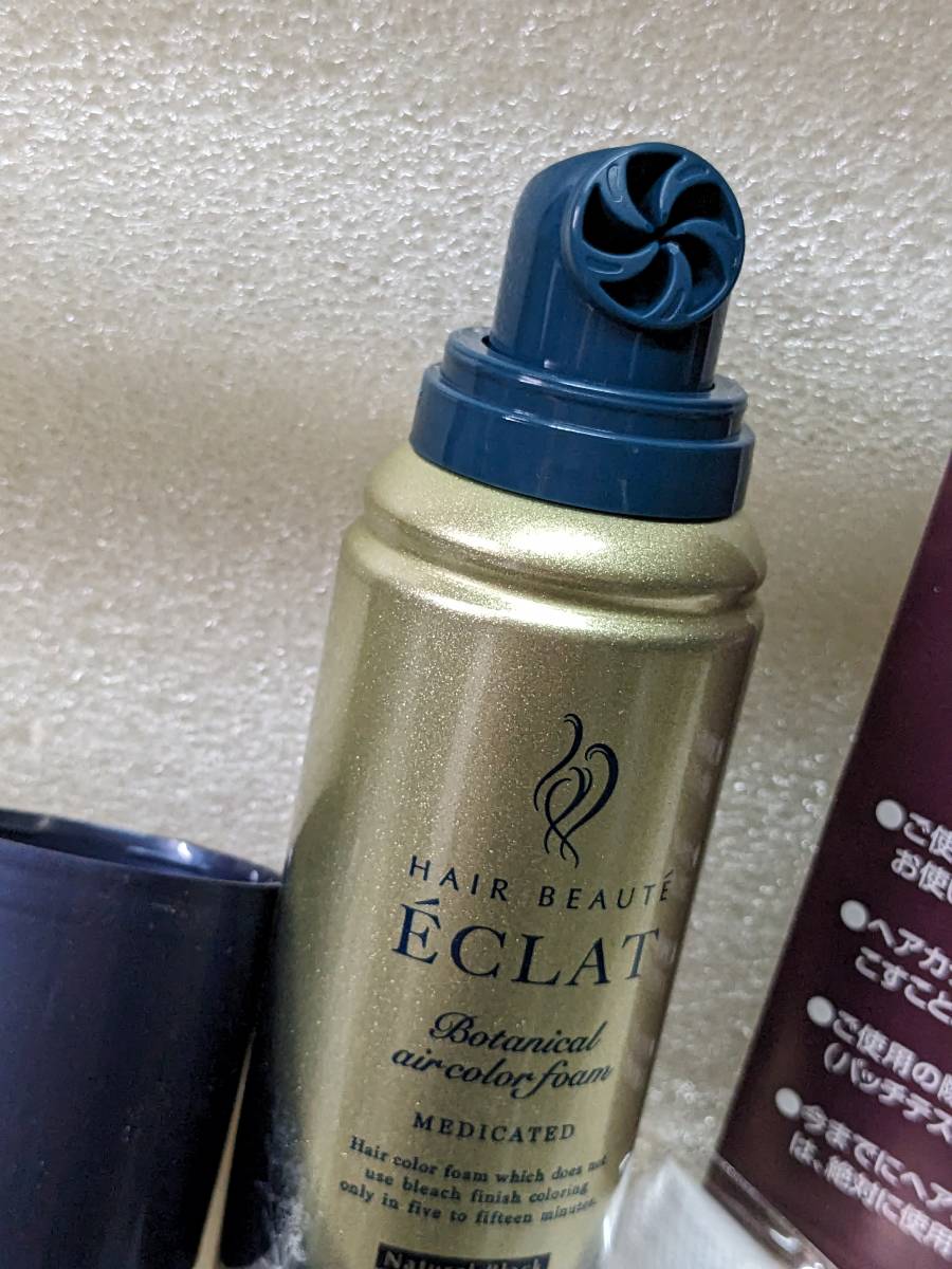 ヘアボーテエクラボタニカルエアカラーフォーム150g2本（ヘア
