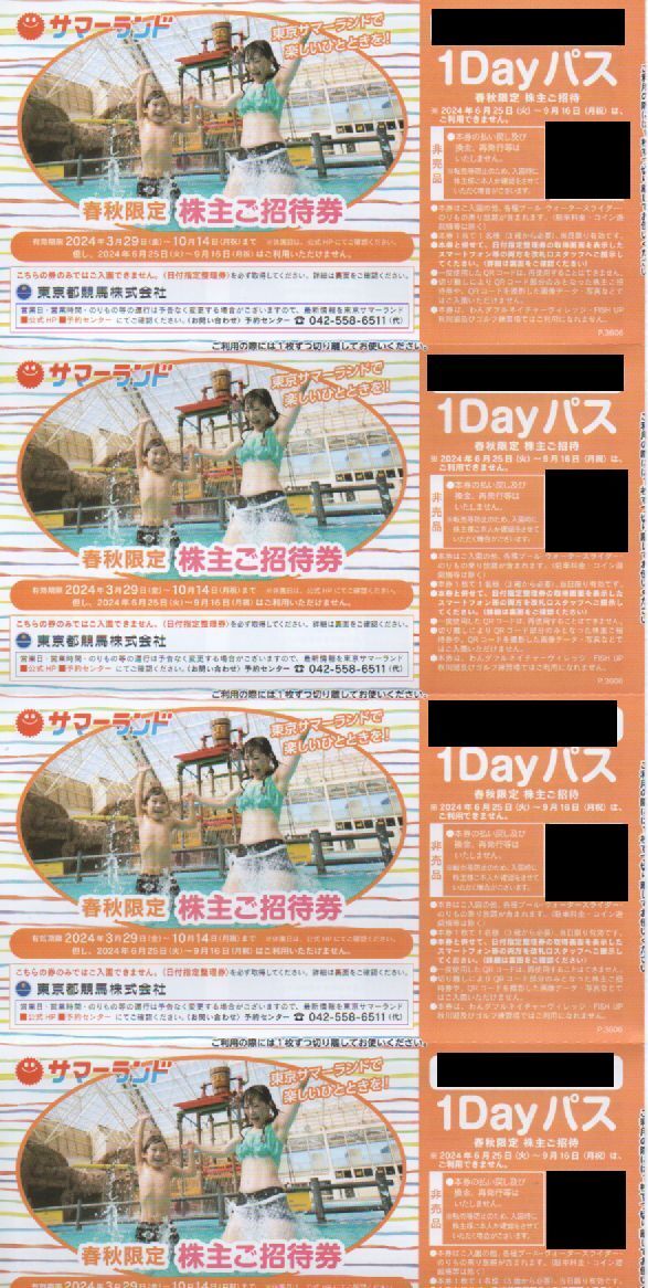 9月25日迄 東京サマーランド 株主優待券3枚 サマーランド☆1dayパス