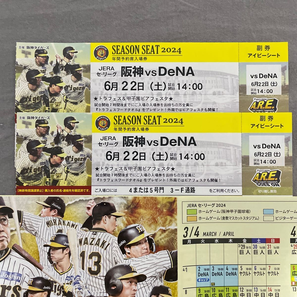 7/3（火）阪神甲子園 中日戦 アイビーシート ペア 6段目 雨保