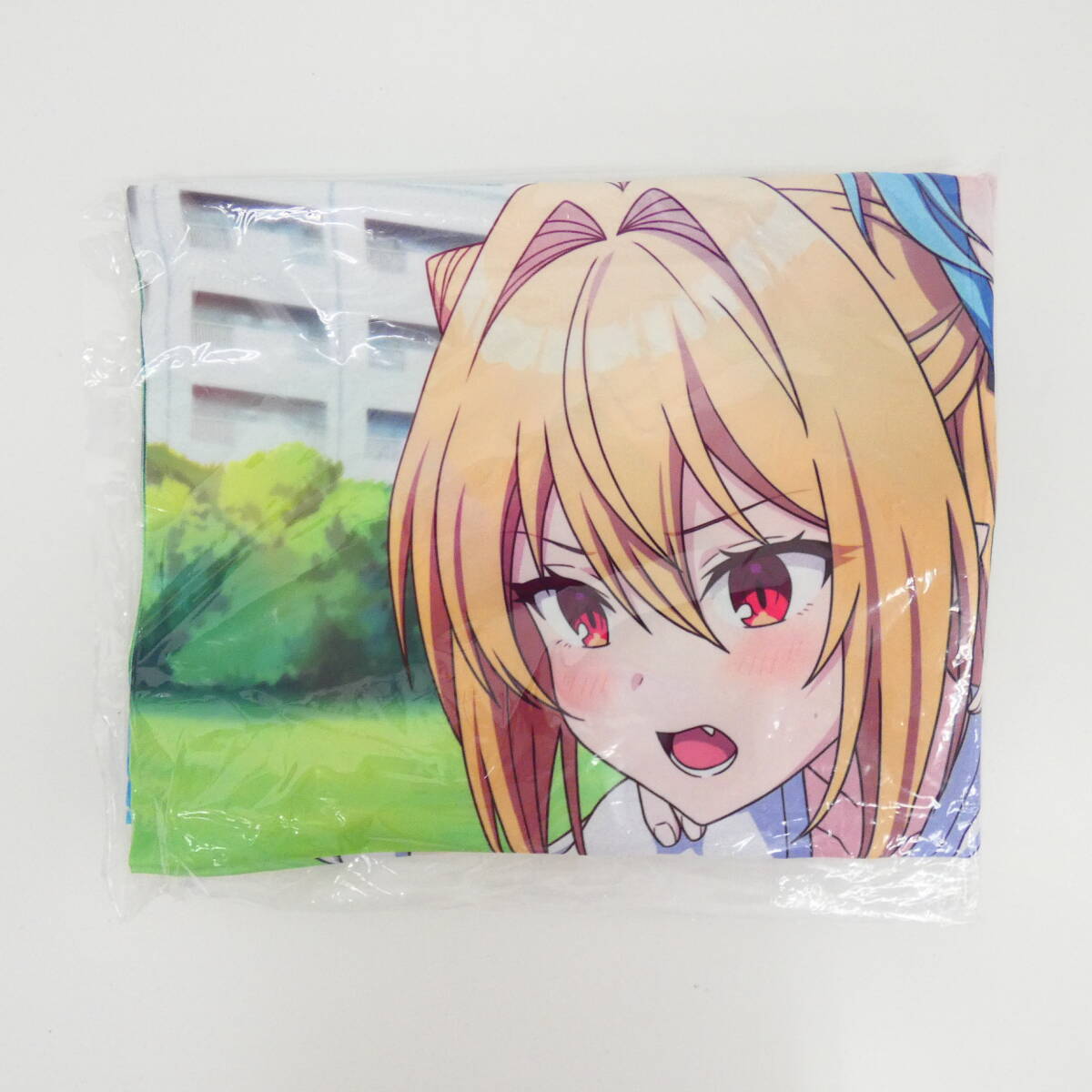 Amazon限定】終末のハーレム D4DJ アニメ描き下ろしB2タペストリー
