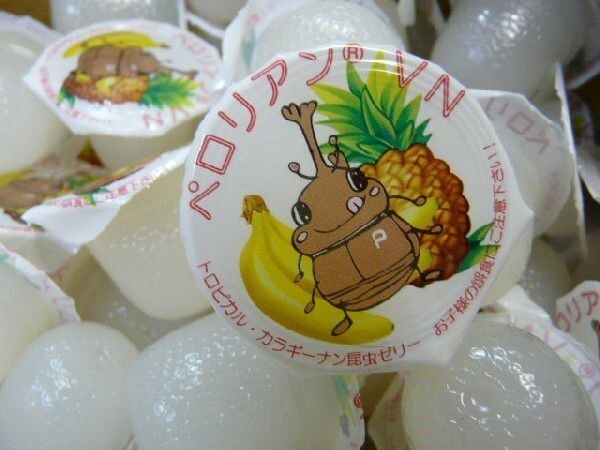 【未使用】お買い得！ペロリアン 昆虫ゼリー（無着色）16g総重量25kg（約3箱分をまとめて1箱） VN16-1500の落札情報詳細 ...