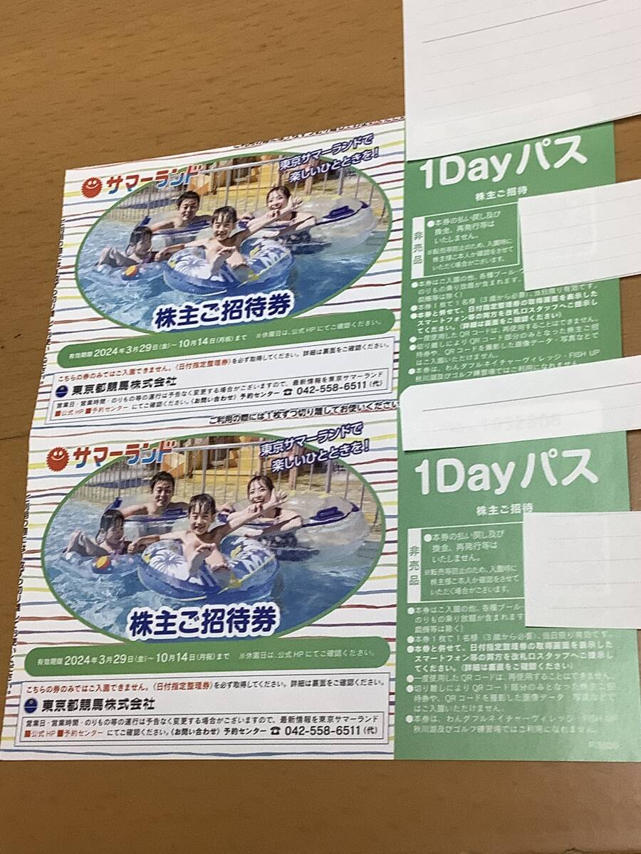 東京サマーランド株主ご招待券6枚1DAYパス最短翌日到着 東京サマーランド株主ご招待券6枚1DAYパス最短翌日到着