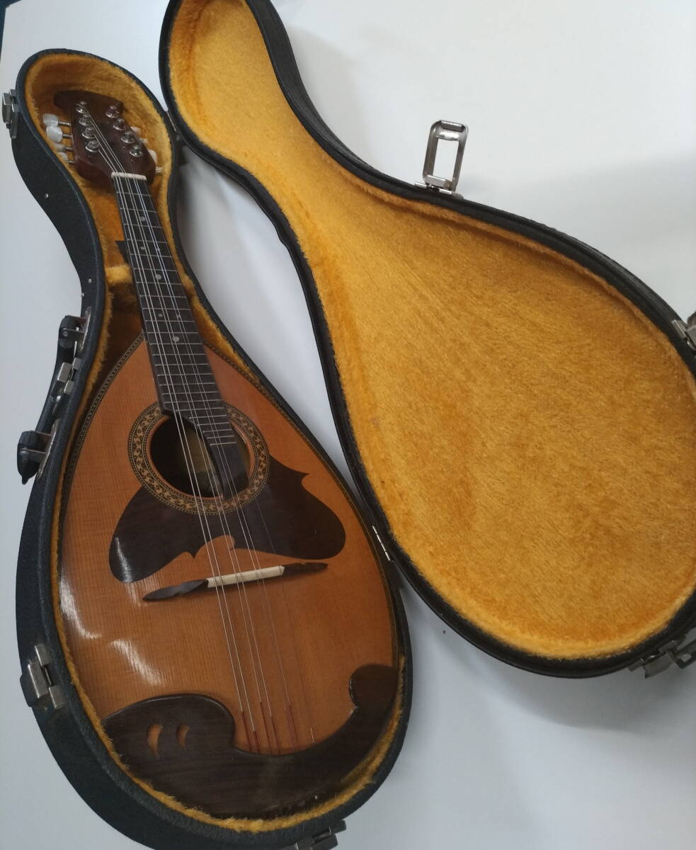 SUZUKI スズキ マンドリン M-215 音出しOK確認済み。 マンドリン」の