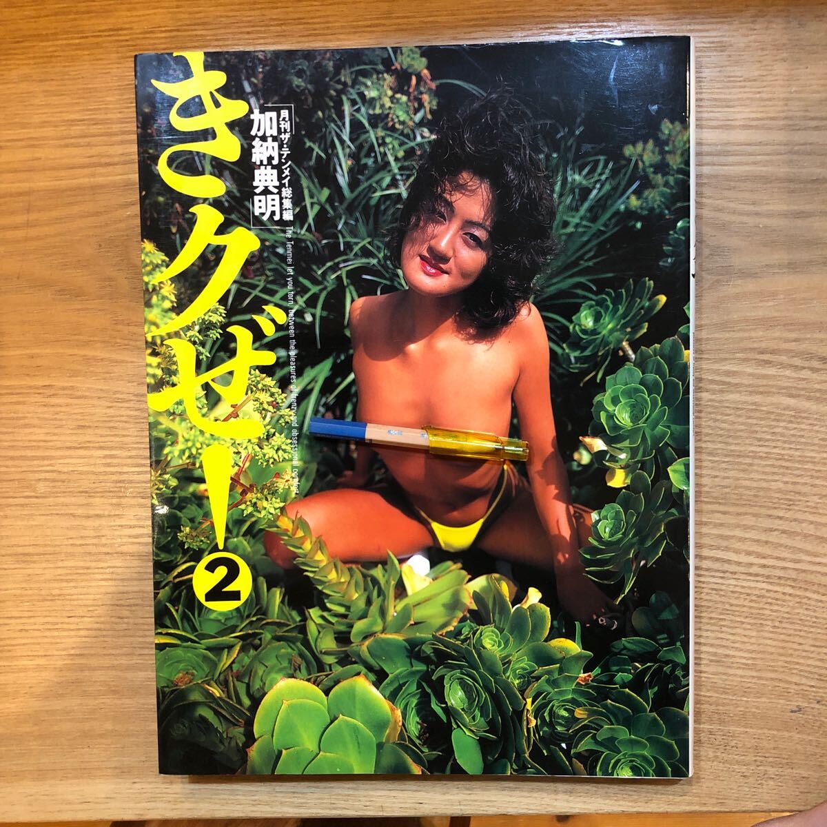 月刊　ザ・テンメイ　１３冊セット Yahoo!オークション -「月刊 ザ テンメイ」(本、雑誌) の落札