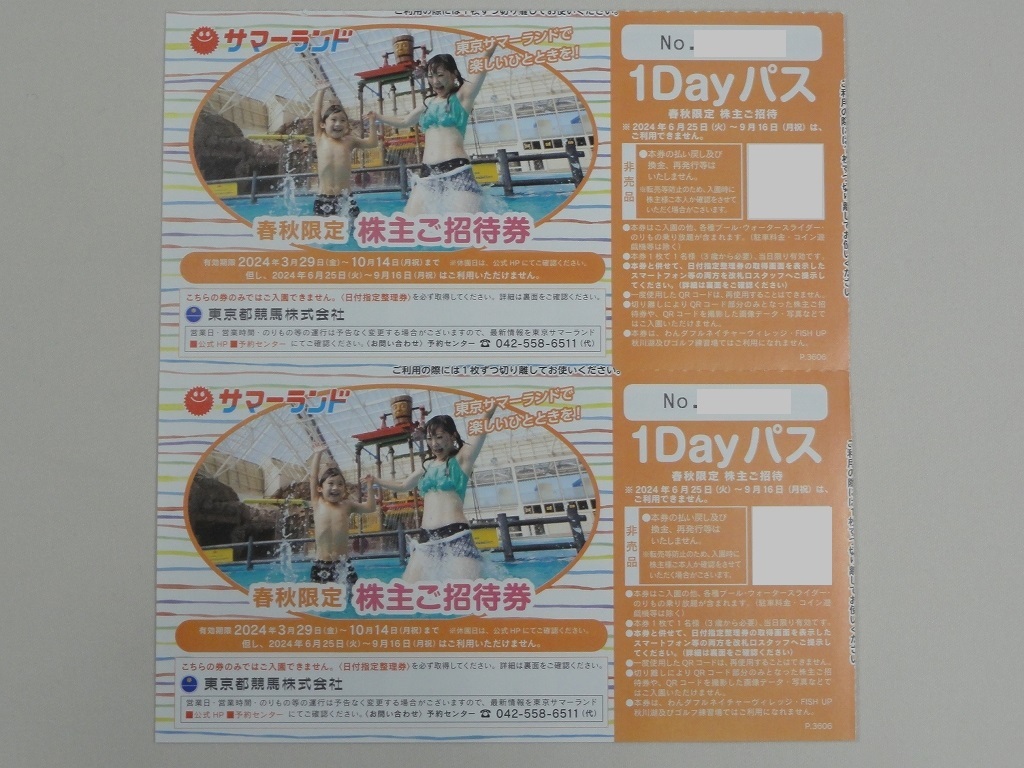 東京サマーランド 1Dayフリーパス 招待券 16枚 東京都競馬 株主 東京サマーランド 1Dayフリーパス 招待券 16枚 東京都競馬 株主