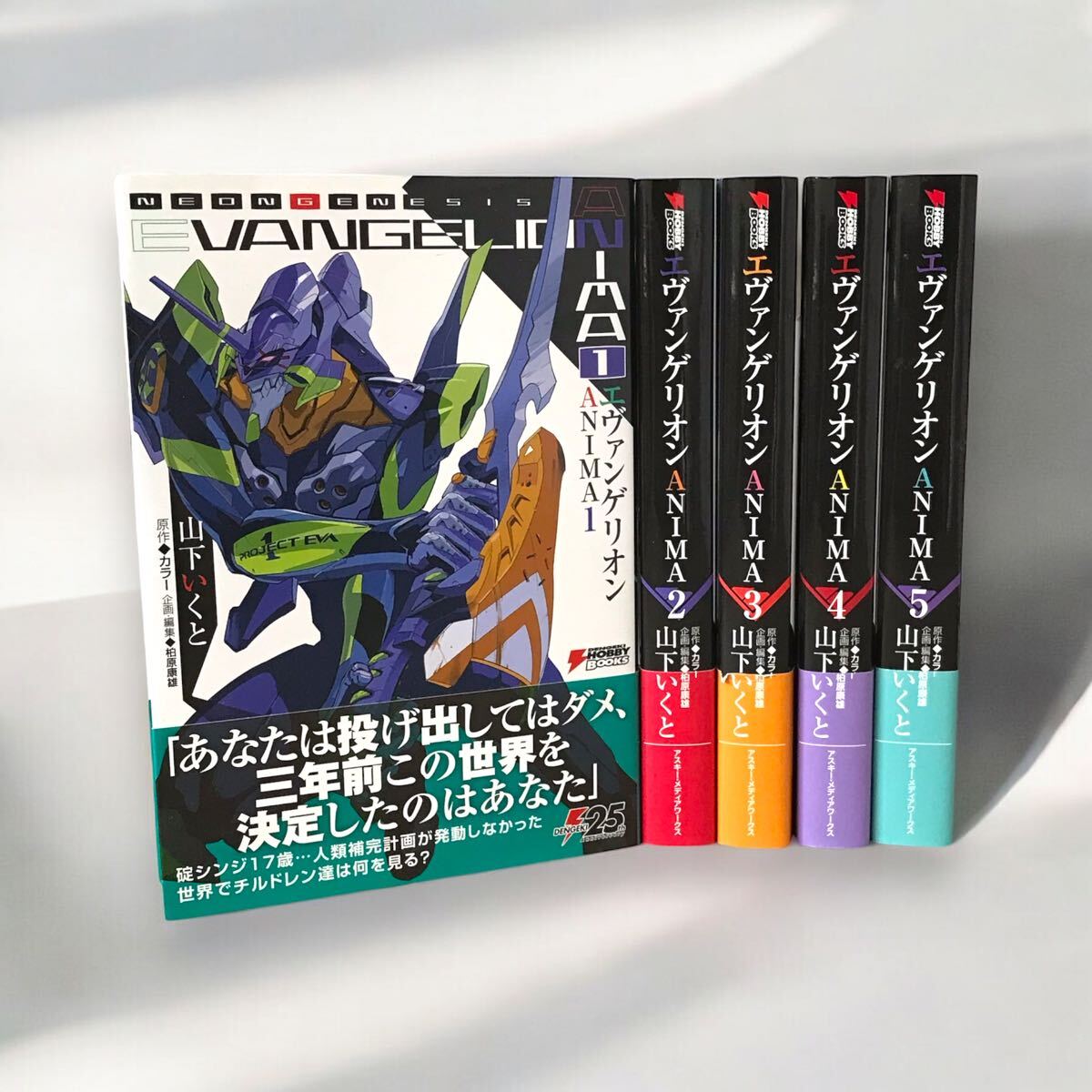 エヴァンゲリオンANIMA 全5巻セット　山下いくと　小説　希少品です！ エヴァンゲリオン 二次創作 やや傷や汚れあり] J 小説 新世紀