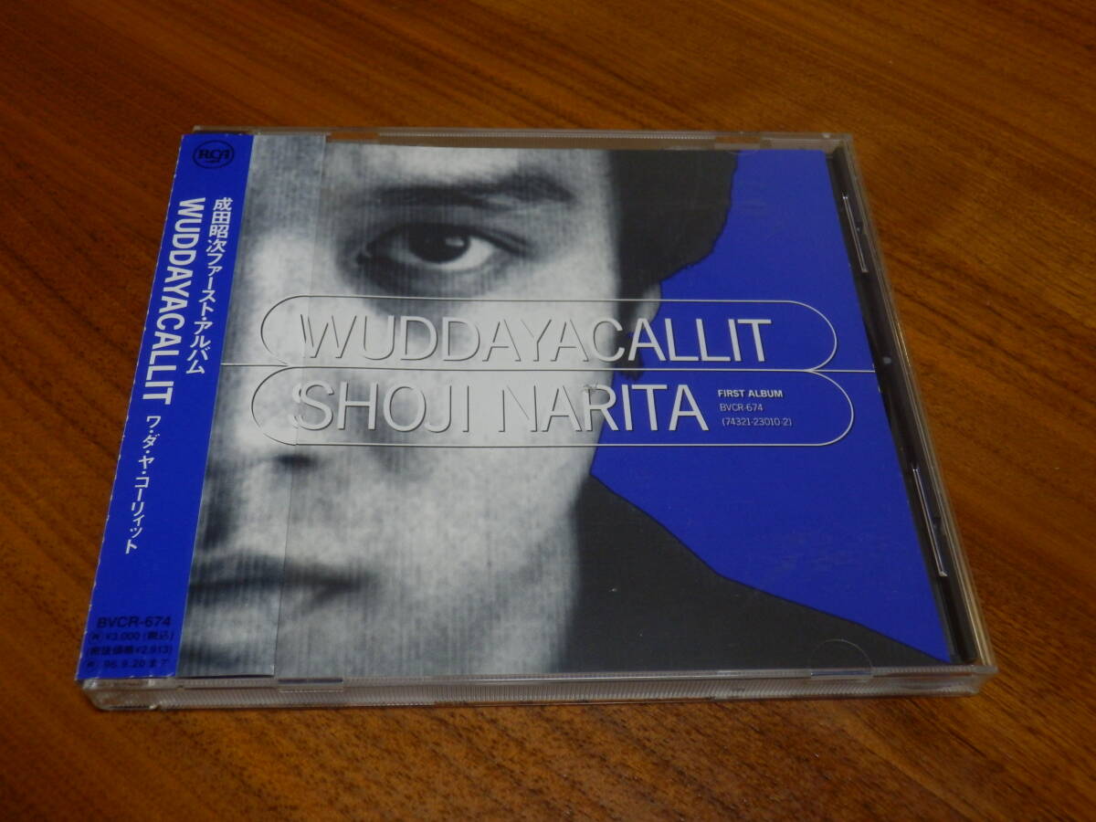 中古】ゾロサン[B]WUDDAYACALLIT/成田宝/透明人間×サンジ/やや厚めの