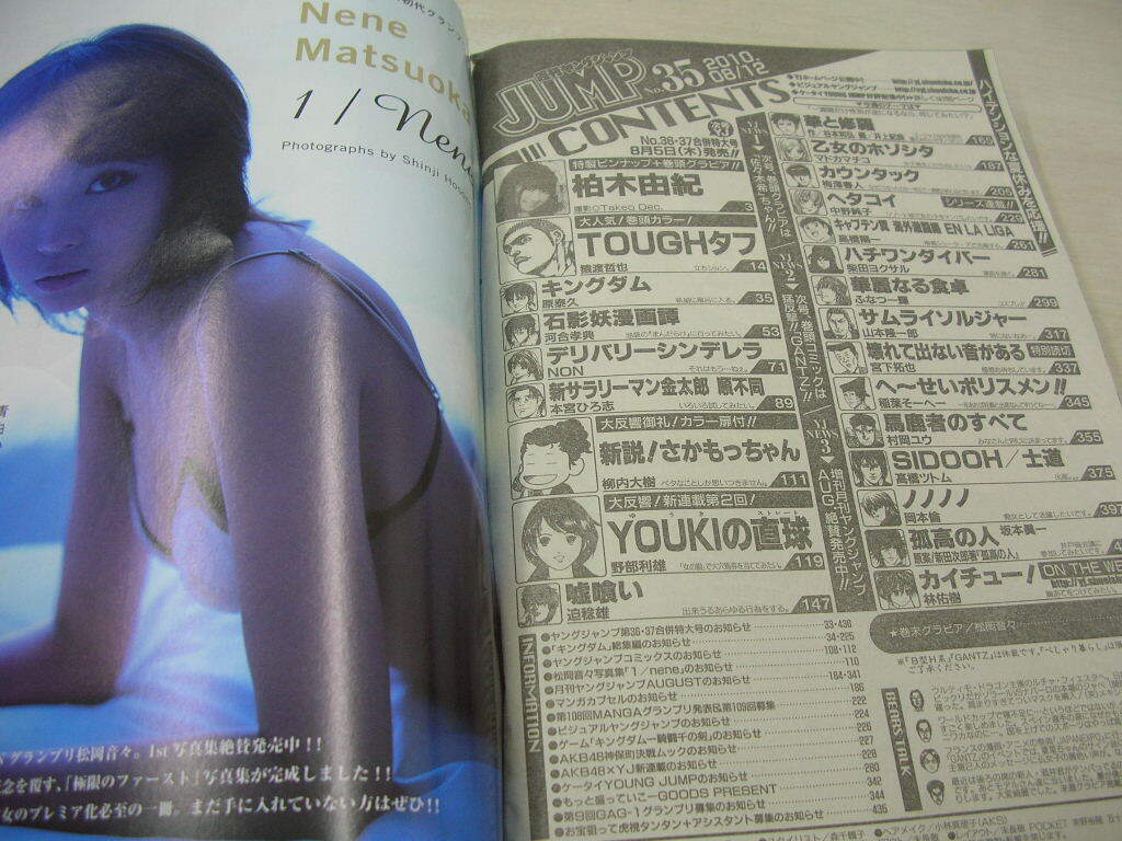 増刊ヤングガンガン 2008年5号※辰巳奈都子グラビア※山本梓 クリアファイル付 ヤングガンガン 付録DVDセット