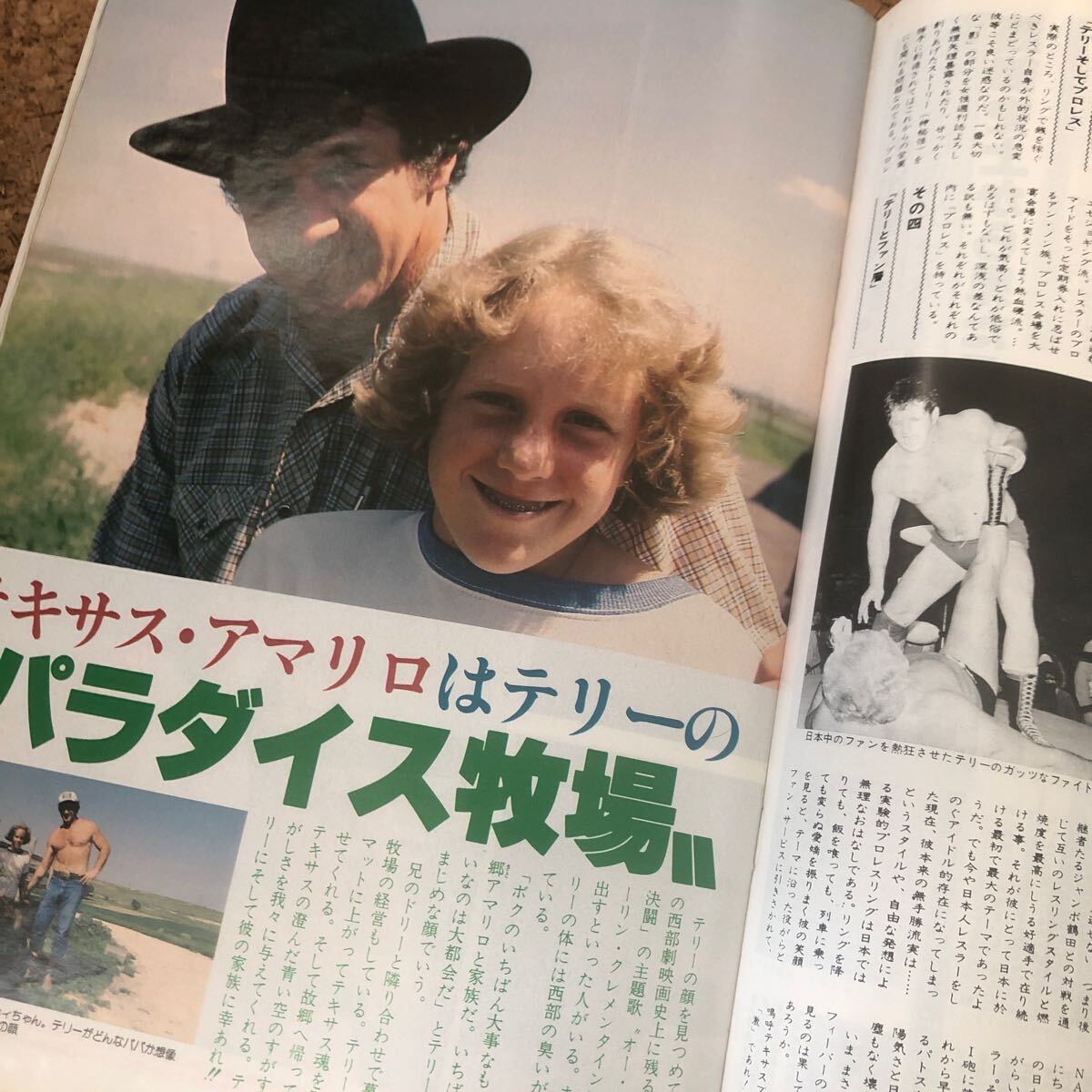 激レア！WWE クラシックスーパースターズ ブルーザー・ブロディ