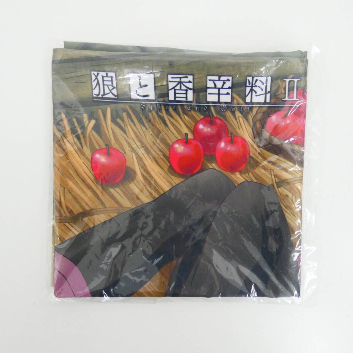 小林桃華エロヌード 