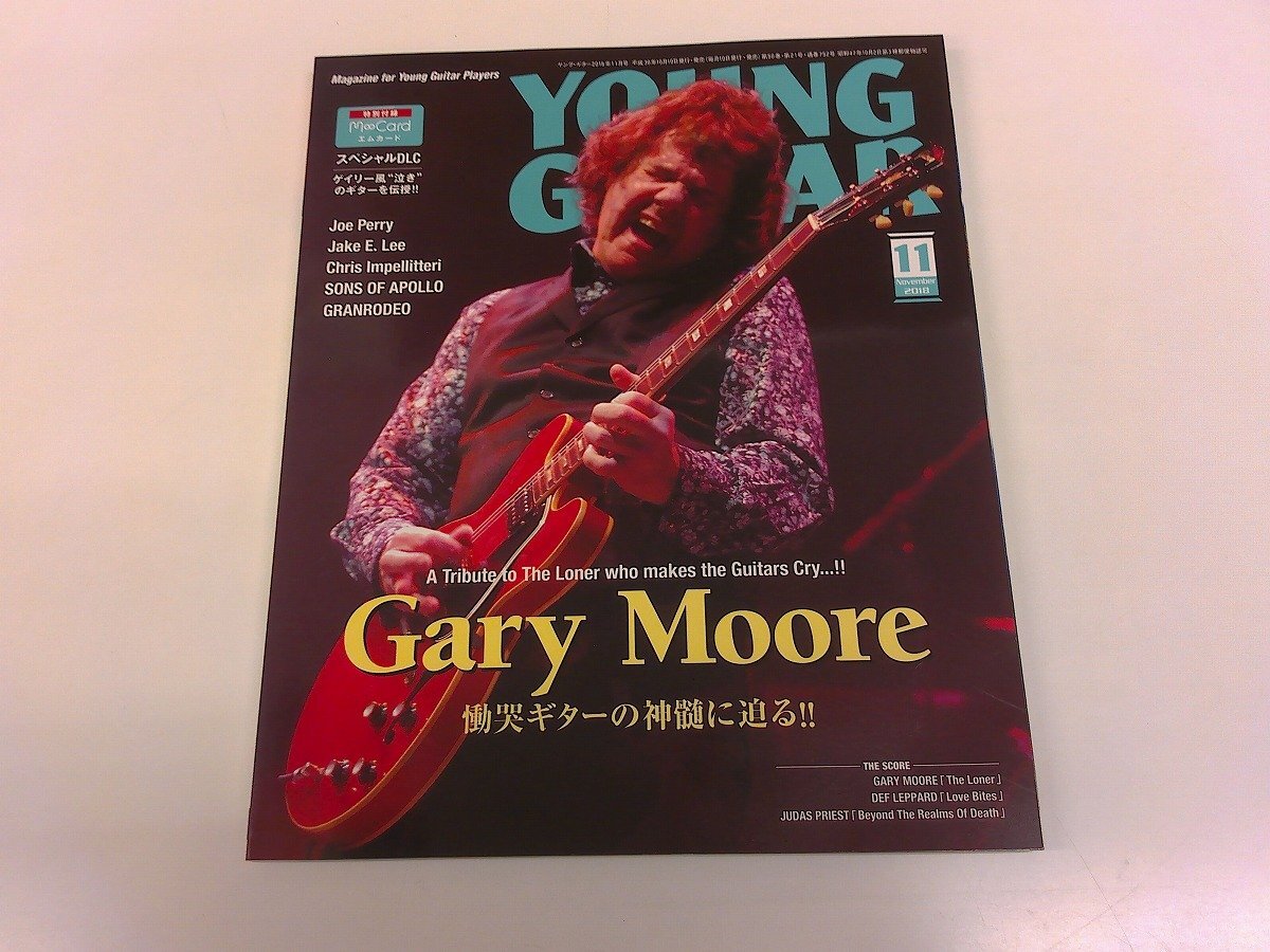 ヤングギターエクストラ13ジェイクEリー奏法 YOUNG GUITAR EXTRA 13 JAKE E. LEE ヤングギター エクストラ ジェイク