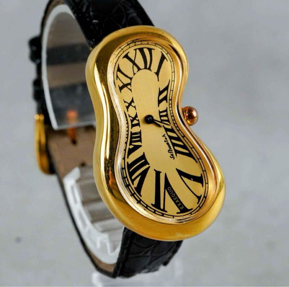 ◇サルバドール ダリ◇わが秘められた生涯◇ Salvador Dal ◇初版 帯付